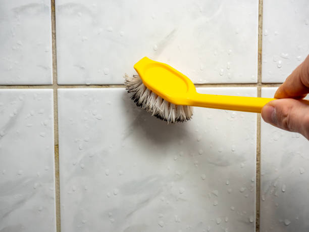 Best Residential Mold Removal  in Marlboro, NY