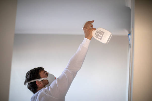 Best Attic Mold Removal  in Marlboro, NY